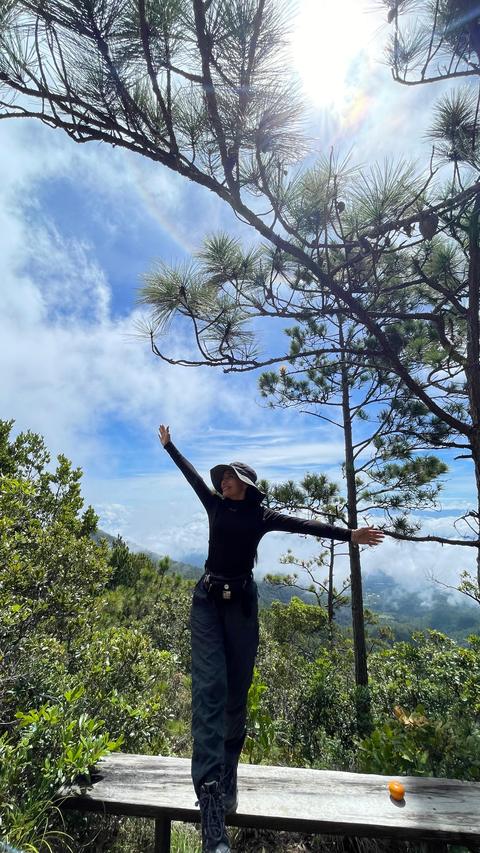 A person at a viewpoint among pines