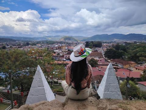 A person looking at the town from a viewpoint