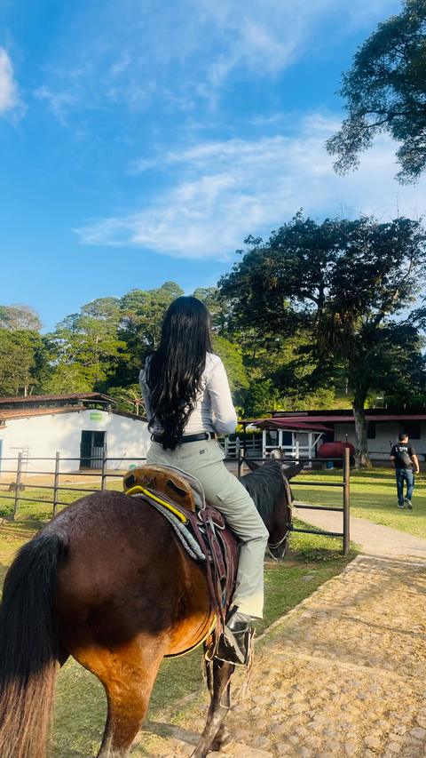 Horse riding