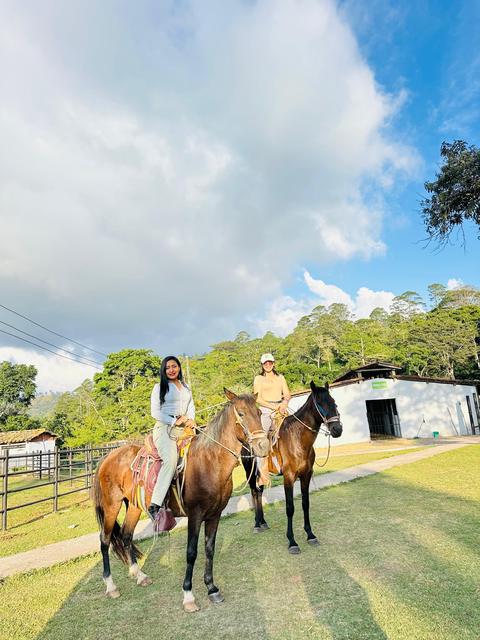 People on horseback in a field