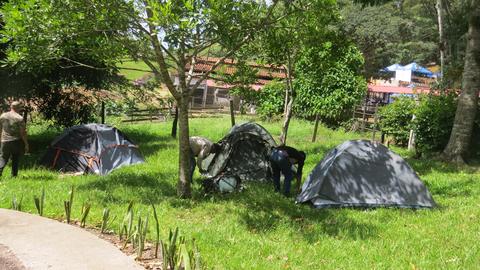 Tents in a garden