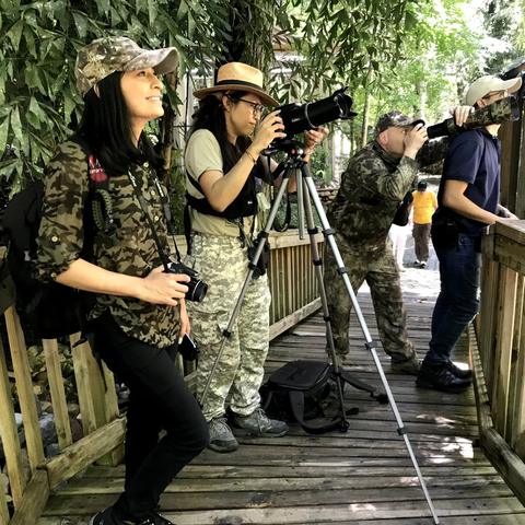 Birdwatching with cameras