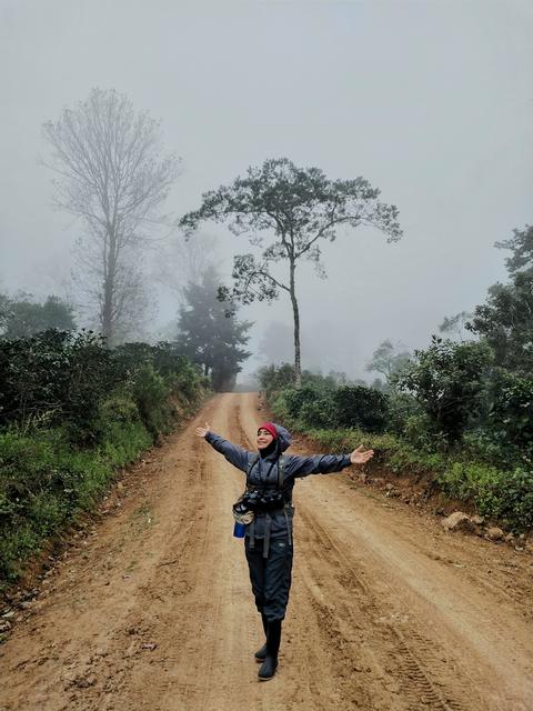 A person on a misty dirt road