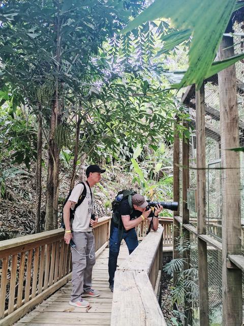 Visitors on a wooden walkway