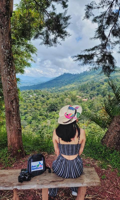 A person sitting and looking at the mountains