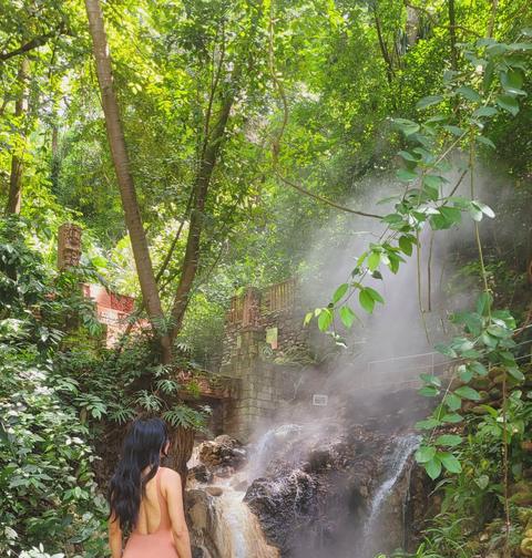 Steaming hot spring among trees