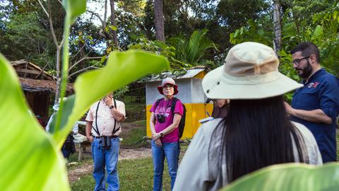 Visitors on a trail among plants