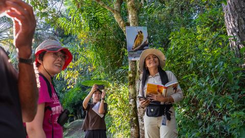Visitors on a forest trail