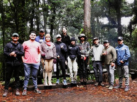 A group of hikers in the forest